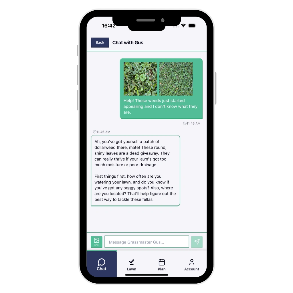 Chat with AI lawn expert